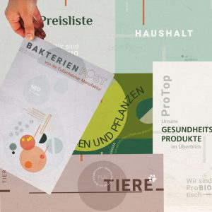Infomaterial - Flyer - Preisliste